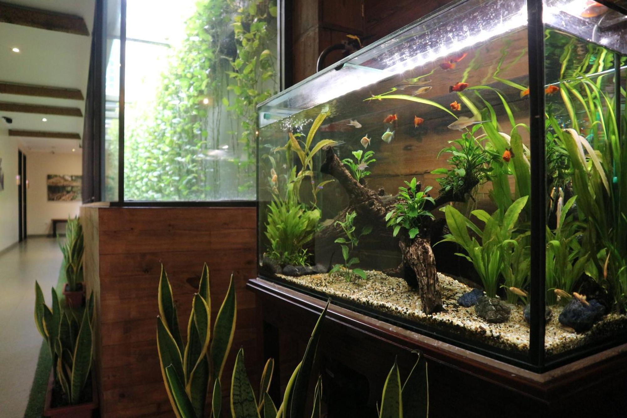 Treehouse Suites - Boutique Serviced Apartment Jakarta Extérieur photo